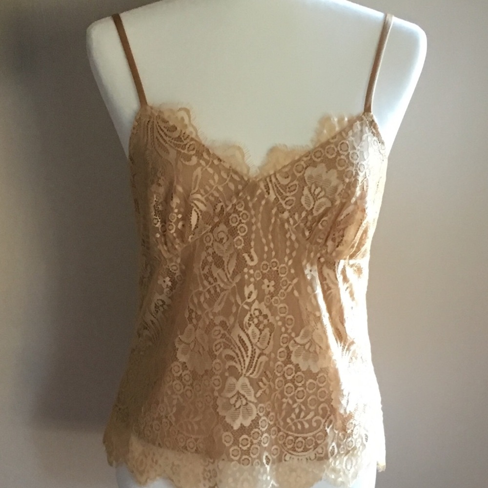 Moda International Gold Blouse